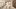 american-express-selects-shopping-homu-japanisch-wohnen-1