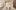 american-express-selects-shopping-homu-japanisch-wohnen-1