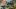 american-express-selects-summer-special-2026-chedi-hauptbild