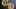american-express-selects-gmpop-napule