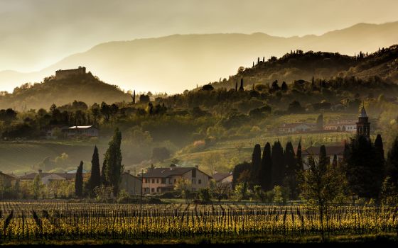 Weinregion in Norditalien mit Kirche, Weinreben und Burg auf Hügel im sanften Morgenlicht