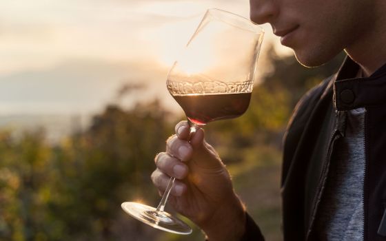 Mann riecht an Rotwein im Glas bei Sonnenuntergang im Weinberg – Nahaufnahme mit Fokus auf Weingenuss