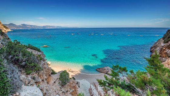 Blick von einem Felsen mit mediterraner Vegetation auf eine kleine Bucht mit weissem Sandstrand an türkisblauem Meer. 
