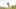 american-express-selects-lifestyle-club-golf-2