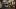 american-express-selects-shop-small-2nd-peak