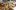 american-express-selects-summer-special-2026-top-story-10