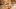 american-express-selects-shopping-jucker-farm-2025-1