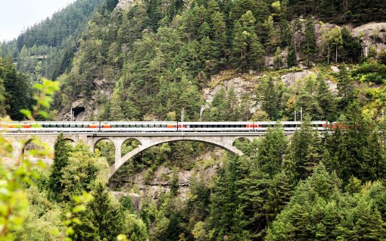 Seitenansicht eines Zuges auf einem Viadukt in bewaldeter Berglandschaft. 