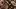 american-express-selects-gaultmilau-pop-the-penthouse