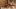 american-express-selects-restaurant-roemerhof-arbon-1