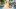 american-express-selects-shopping-guerlain-selects-06-25-1