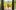 americanexpress-microsites-gold-flashsale-stagestatic