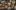 american-express-selects-dining-moments-izakaya-3