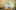 american-express-selects-newsletter-mai-2026-top-story-8