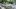 american-express-selects-restaurant-bayleaf-4