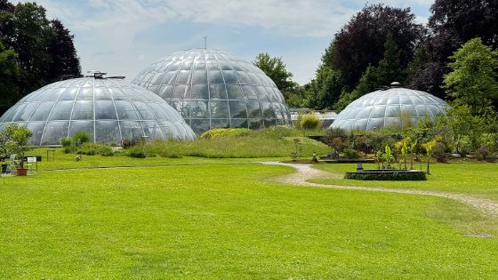 Drei kuppelförmige Gewächshäuser in einer Parkanlage mit Rasenfläche. 