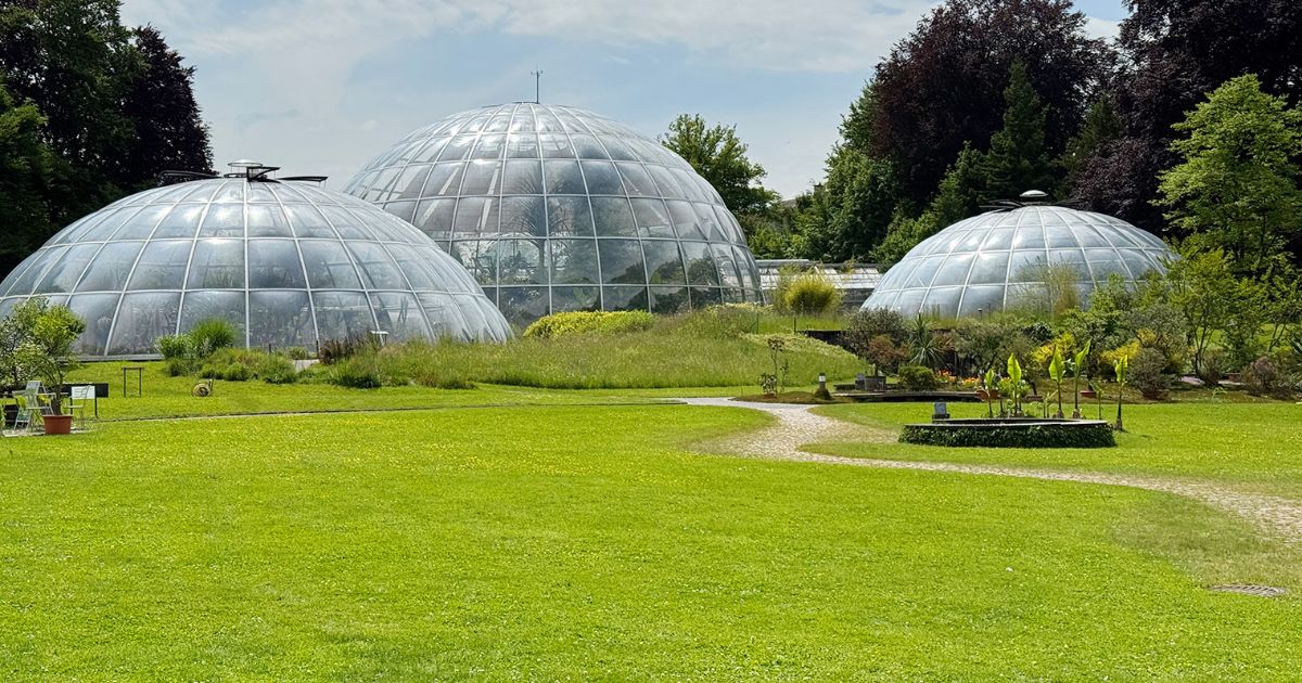 american-express-magazin-