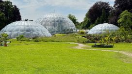Drei kuppelförmige Gewächshäuser in einer Parkanlage mit Rasenfläche. 