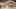 american-express-selects-summer-hotel-laudinella-teaser