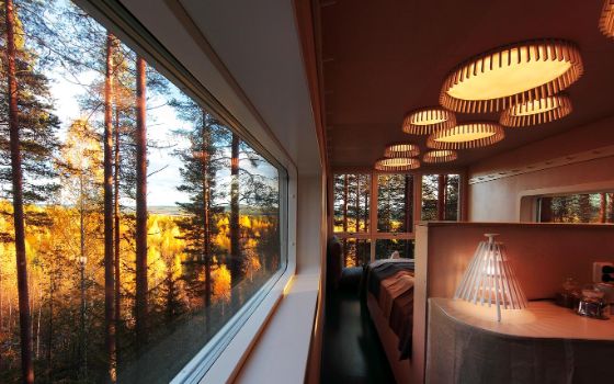 In einem Baumhaus steht ein Bett, umgeben von grossen Fenstern, durch die man den Wald sieht.