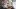 american-express-selects-gm-tipp-des-monats-1