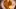 american-express-selects-restaurant-old-swiss-house-1-e-nl-2026