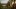 american-express-selects-shopping-jucker-farm-2