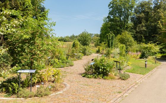 Parkanlage mit Infotafeln vor Beeten mit unterschiedlichen Grünpflanzen bei Sonnenschein. 