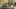 american-express-selects-shopping-rituals-2024-2