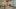 american-express-selects-neuste-partner-casa-del-te-1