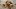 american-express-selects-gmpop-burgermeisterbrooklyn