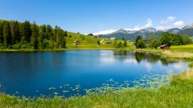 american-express-selects-sommer-promotion-2024-stumps-alpenrose-2