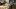 american-express-selects-gmpop-mrmrsrenou