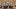 american-express-selects-summer-special-grand-hotel-kronenhof-teaser