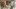 american-express-selects-hotels-winter-special-q1-2026-hotel-valsana-1