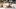 american-express-selects-ax-dining-moments-restaurant-al-giardinetto-2