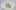 americanexpress-magazin-allgaeu-restaurant-schattenbuch-stagestatic