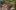 americanexpress-magazin-places-baeren-gonten-stagestatic