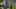 american-express-selects-summer-special-2025-boutique-hotel-chandolin-1