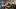 american-express-selects-neue-partner-capitol-bern-1