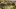 american-selects-hotel-golfhotel-gstaad-NEU