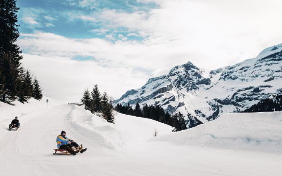 Zwei Männer rodeln auf Schlitten einen Hügel herunter, im Hintergrund Bäume und verschneite Berge. 