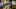 american-express-selects-gmpop-chezernest