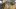 american-express-selects-neue-partner-roc-cycling-aegeri-2