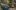 americanexpress-hotels-com-stagestatic