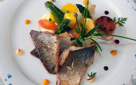 Auf einem weissen Teller liegen gebratene Fisch-Stücke, Spargel und Gemüse. 