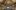 american-express-selects-newsletter-mai-2026-top-story-3