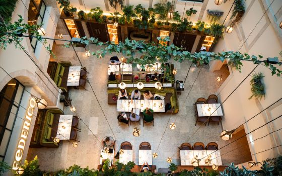 Personen sitzen an Tischen in einem modernen, mit Weinreben dekorierten Patio eines Restaurants mit dem Signet «Federico» aus der Vogelperspektive. 