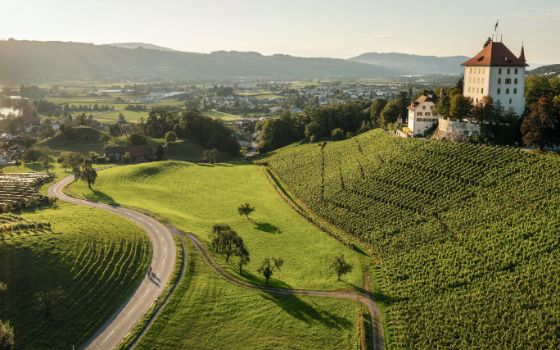 Ein Schloss auf einem Hügel umgeben von grünen Wiesen und Weinbergen in der Abendsonne.