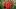 american-express-selects-neue-partner-maya-maya-2